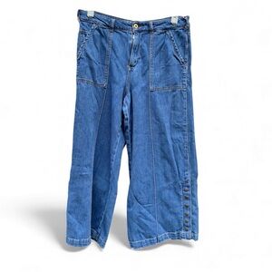 Pilcro and the letterpress wide leg high waisted crop Jean with snap detail hem